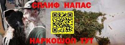 МДПВ Новозыбков