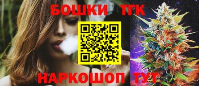 МДПВ Новозыбков