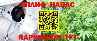 МДПВ Новозыбков