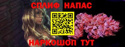 МДПВ Новозыбков