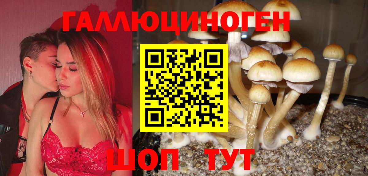 Рославль  Галлюциногенные грибы Psilocybine cubensis  Вход с VPN  Галлюциногенные грибы ЛСД 